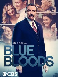 Blue Bloods 8 episode 6