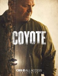 Coyote