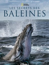 Les Secrets des baleines 1 episode 4