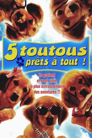 5 toutous prêts à tout