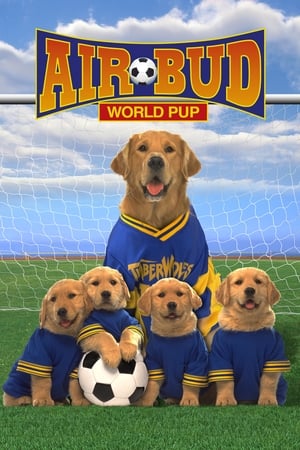 Air Bud 3 - le chien etoile