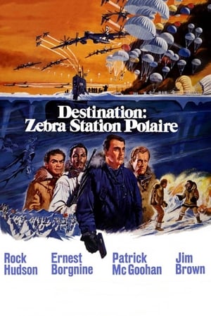 Destination : Zebra, station polaire