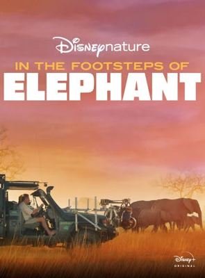 Sur la route des éléphants